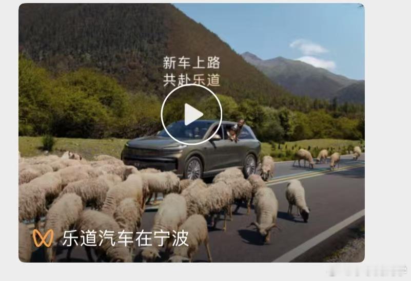 还是乐道会整活啊，注意，在这种有动物的场景，蔚来的端到端AEB也能很好的识别异物