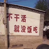 俭红捧体育