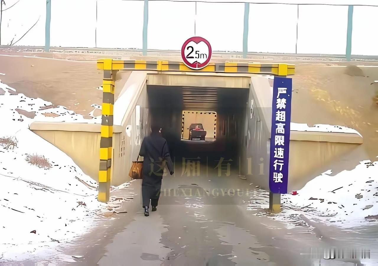 令人上头的标语在“严禁超高”后面加一个顿号（、），就没问题了。问题在警示牌太前了