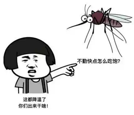 【蚊子为什么偏偏爱叮你？】房间里明明有好几个人，为什么蚊子偏偏围着你转？深圳医学