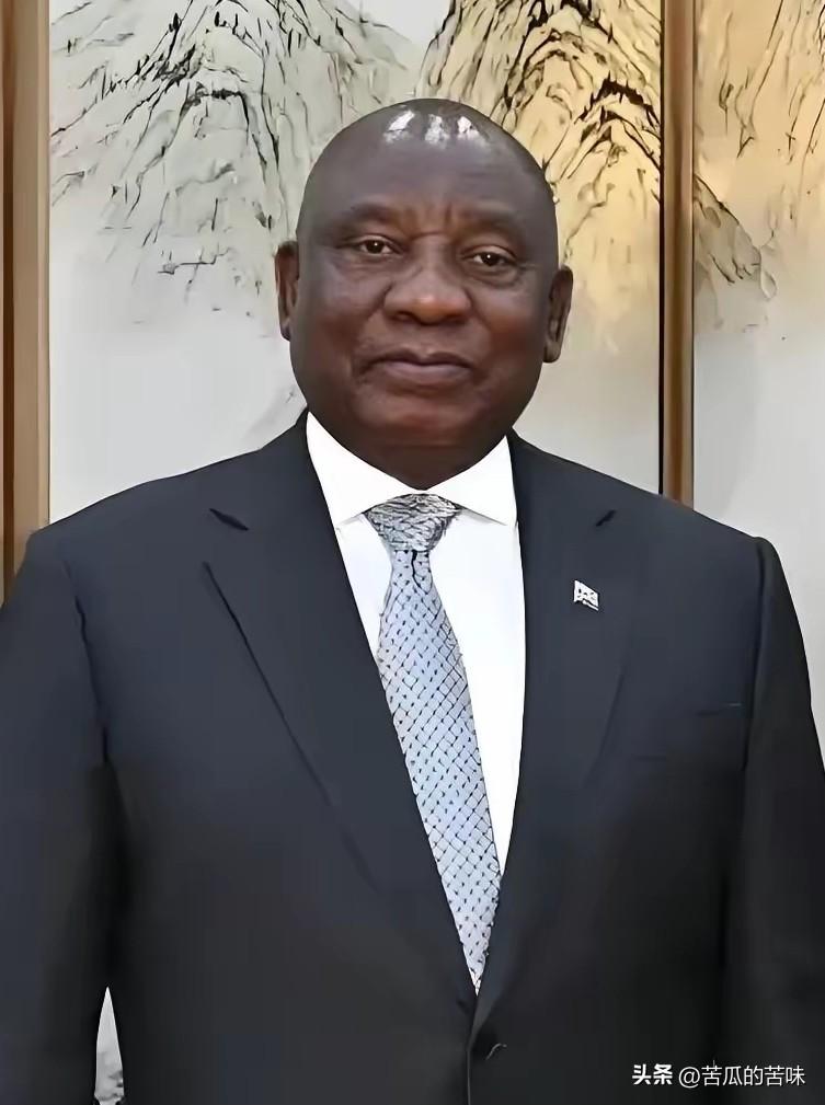 南非这一刀，砍得真狠！中国钢企在非洲彻底“芭比Q”了。就在3月20日，南非国际贸