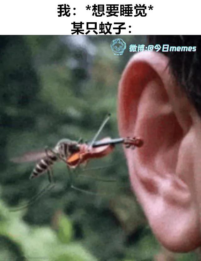 蚊激起舞（9gag）今日meme 今日memes
