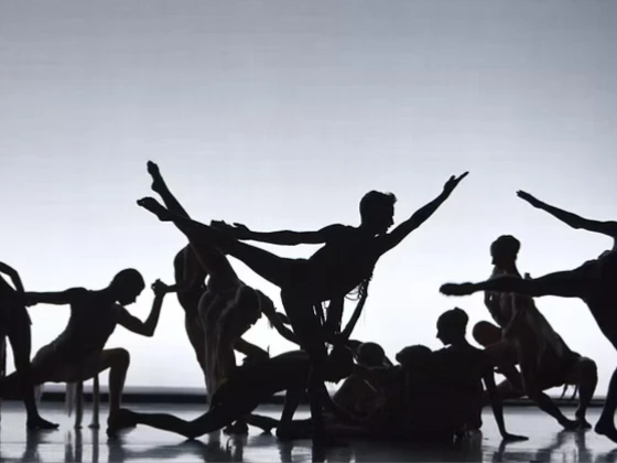 年龄，是与运动最不相关的因素