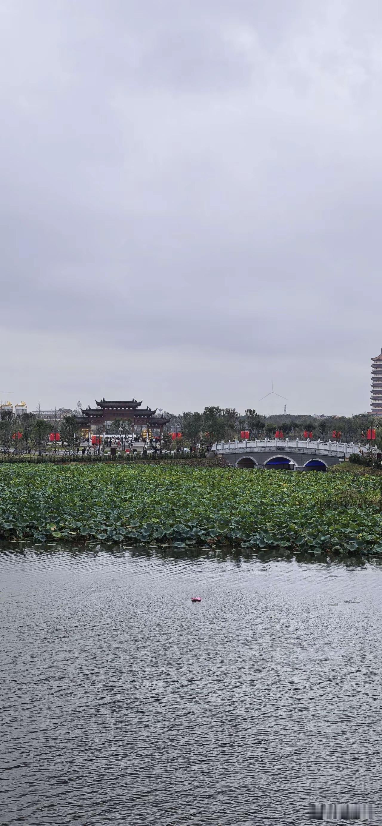 北京公园我感觉有一点比武汉好的地方，在于他们有动物和人的互动，武汉绝大多数公园都