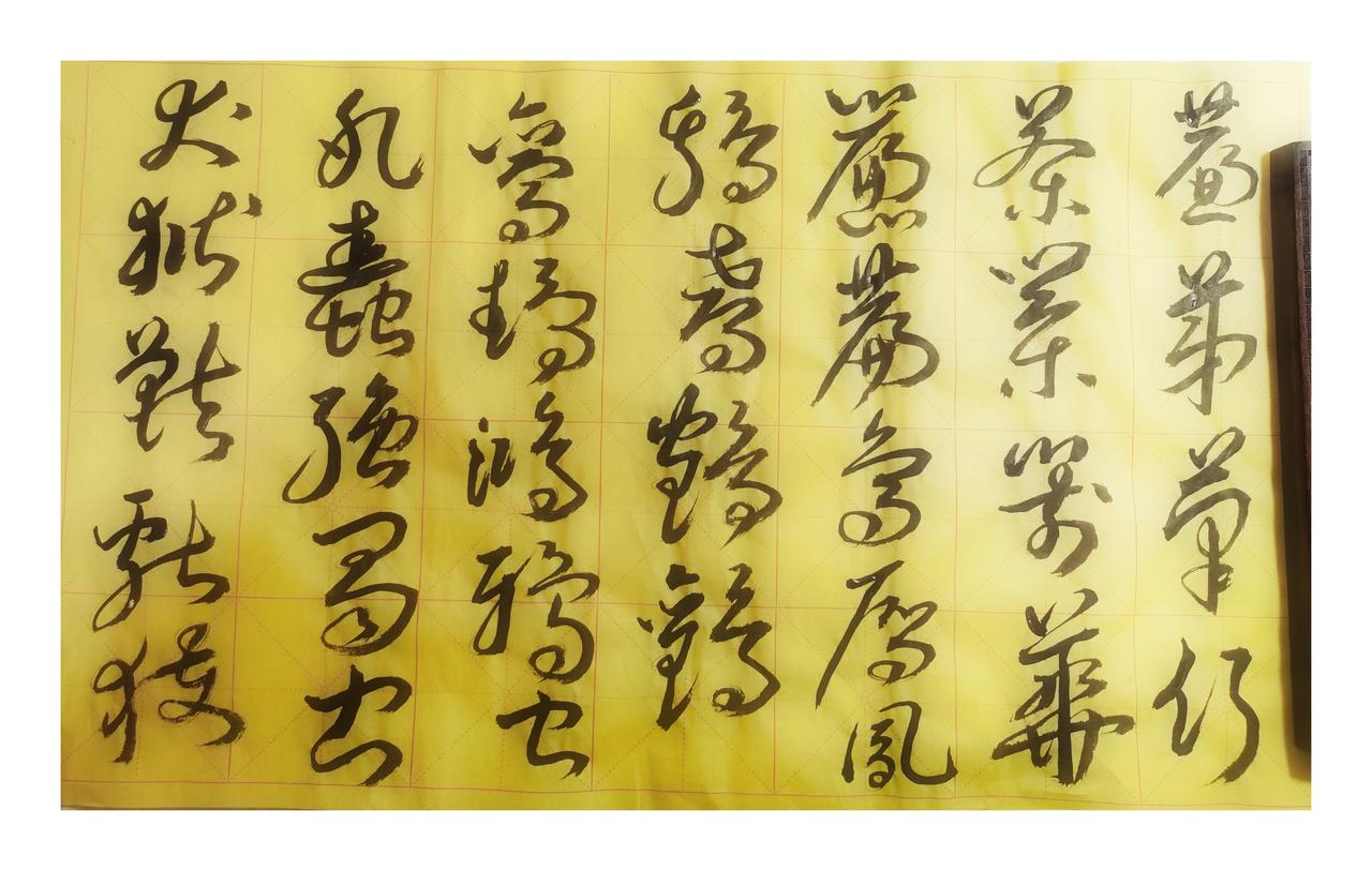 火车经过甘肃，看着两边景像，恍若是童年的记忆，电线杆，小树林，小白杨上的鸟窝，平