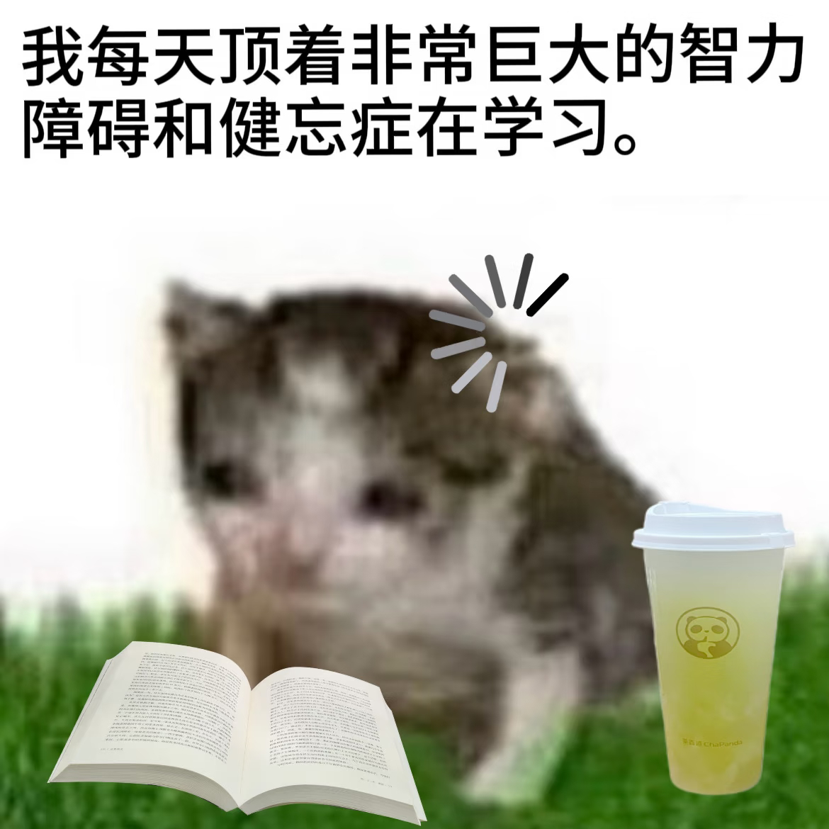 分享图片 ​​​