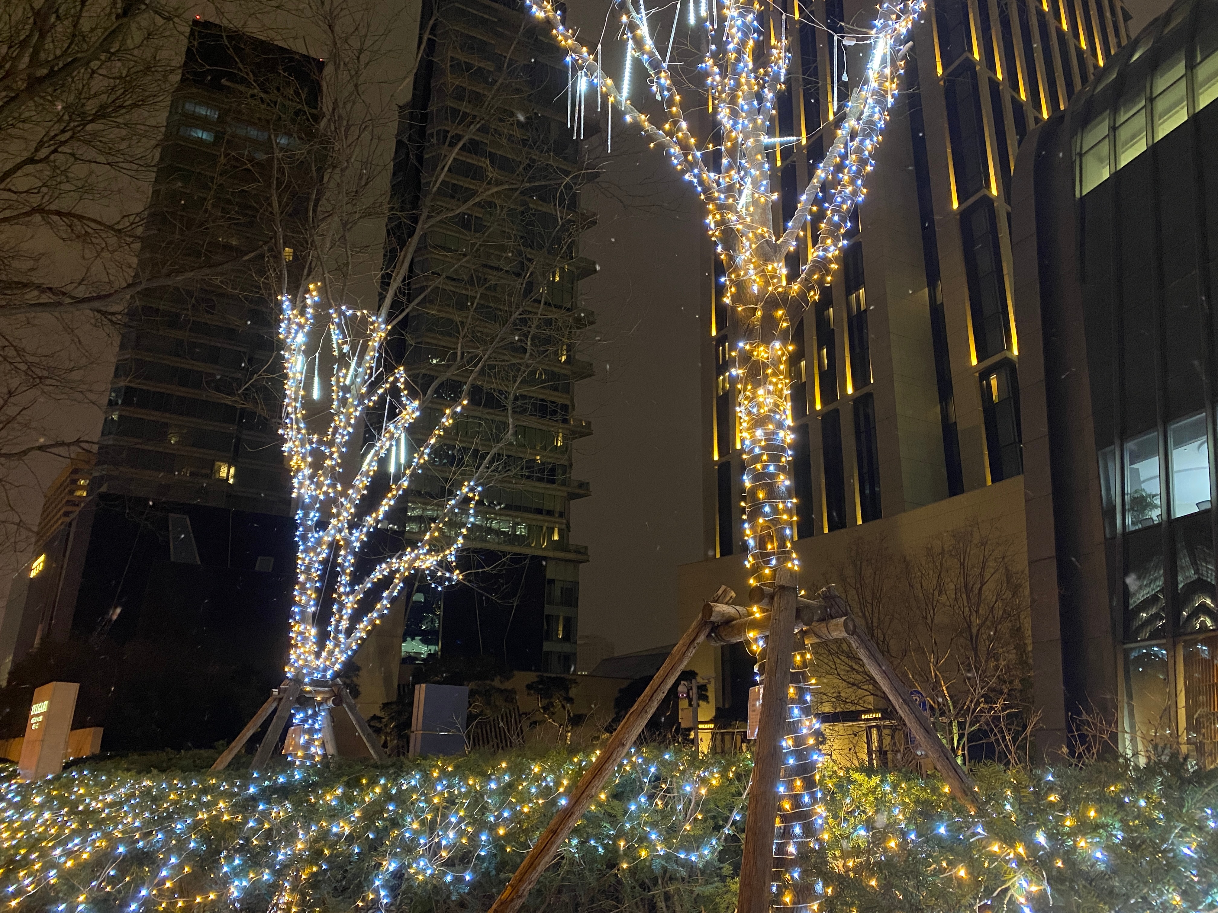 随一张美丽的宝格丽门口儿吧～ ​​​