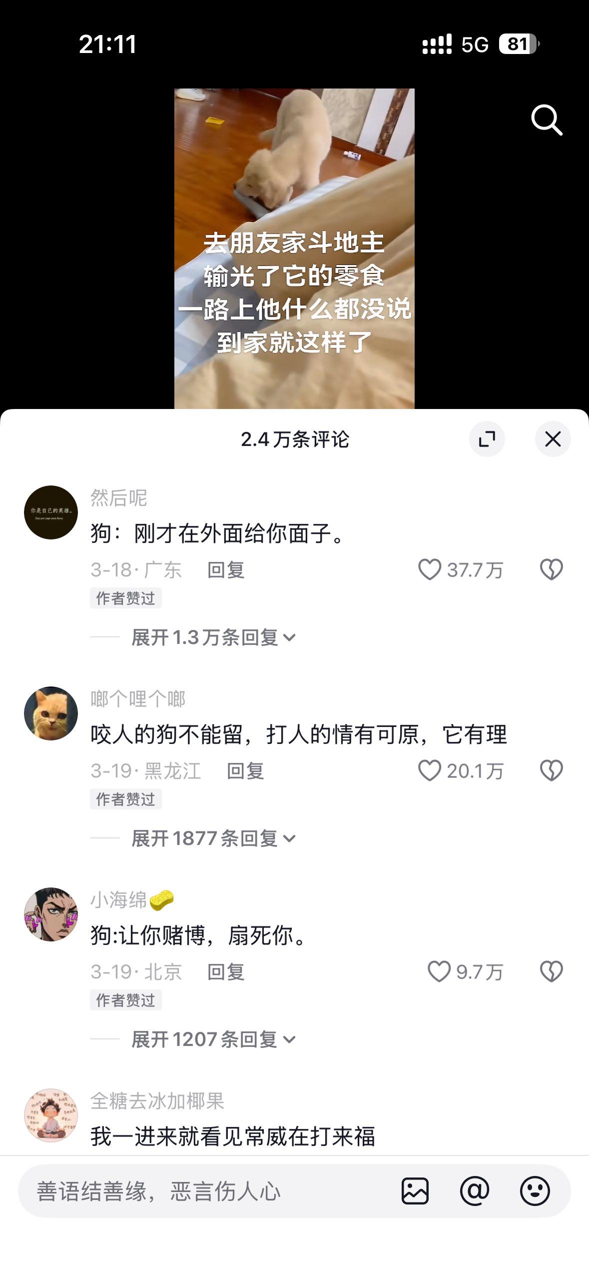 还是有原则的好狗，在外不发作