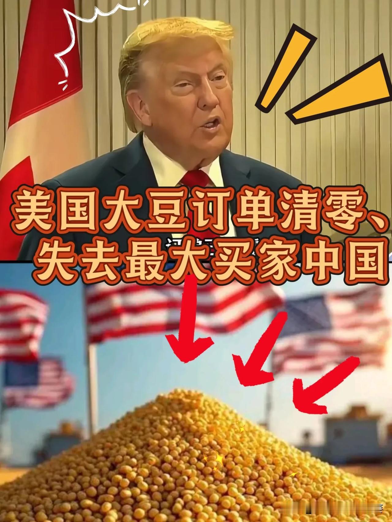 美国大豆订单清零、

失去最大买家中国

虽然收到中方800万吨订单

但美发现