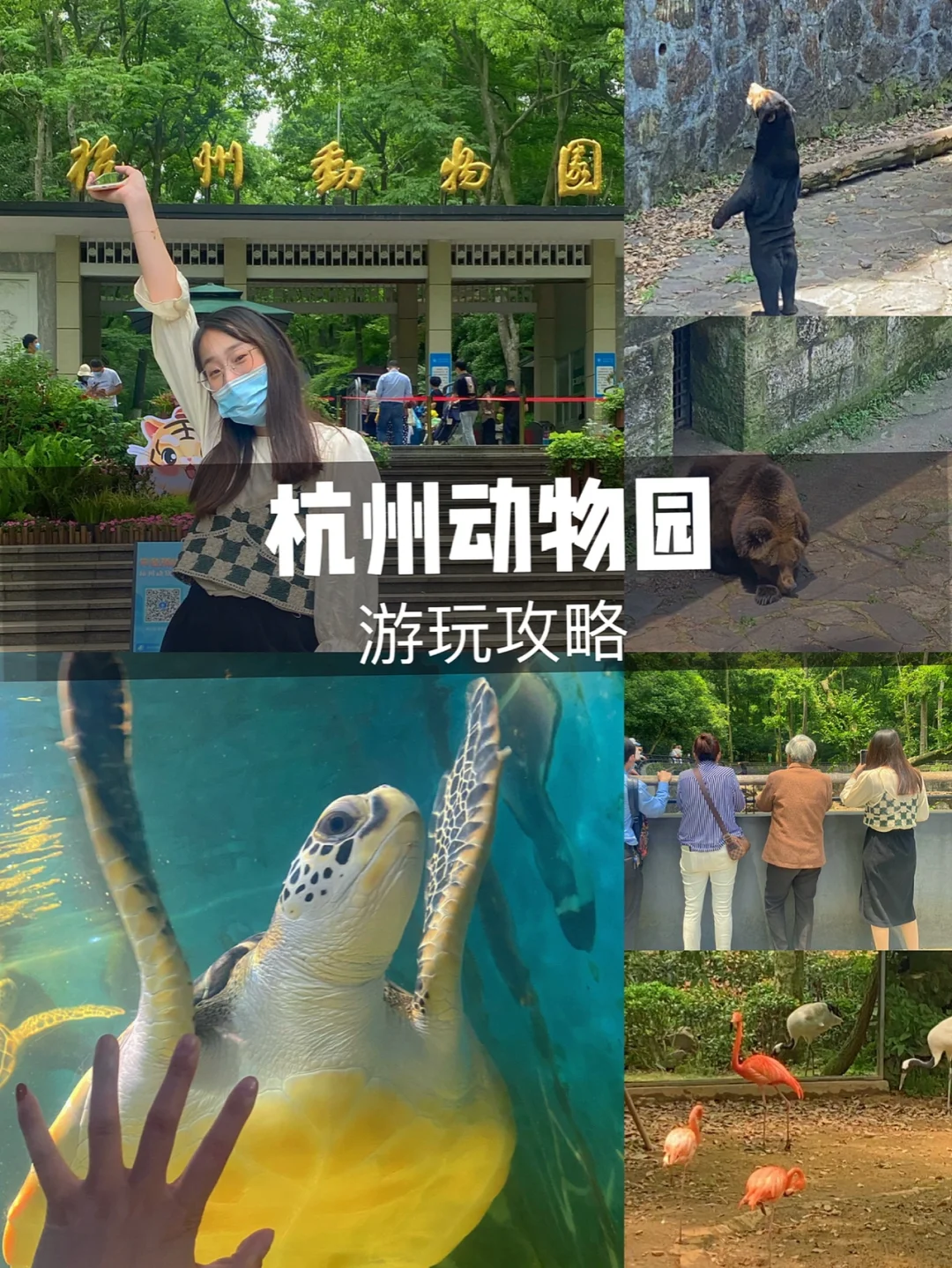 仅💰20～杭州动物园超全游玩攻略‼️