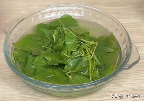 杨树叶能吃吗？说起来，有人不信，事实上，一些地方的人在荒年时都吃过，现在传下来了