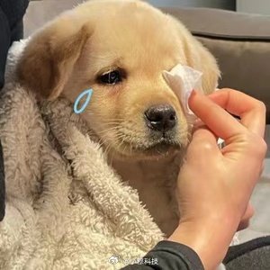 说一个鬼故事，晚上回到家体感家里有点冷冷的原来是北京今天停止供暖了北京停止供暖