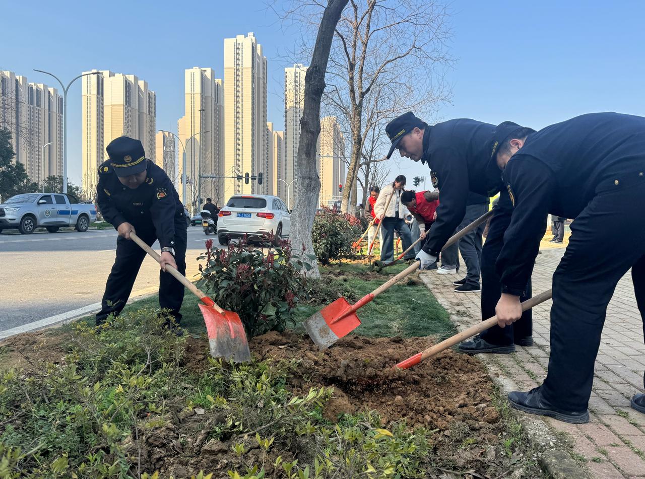 【城管进社区，植绿暖民心】春风拂面，绿意萌动，植树节来临之际，东西湖区城管局综合