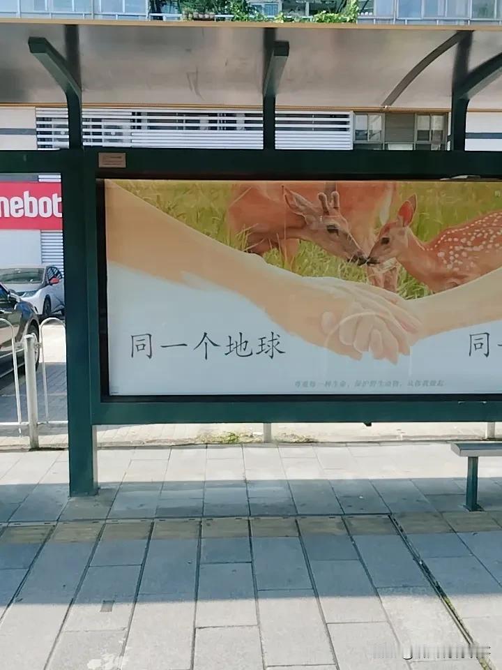 ❤️从底层杀出来的人，她们已是狠角色，逆商碾压常人，更可怕的是 ——深度思考，早