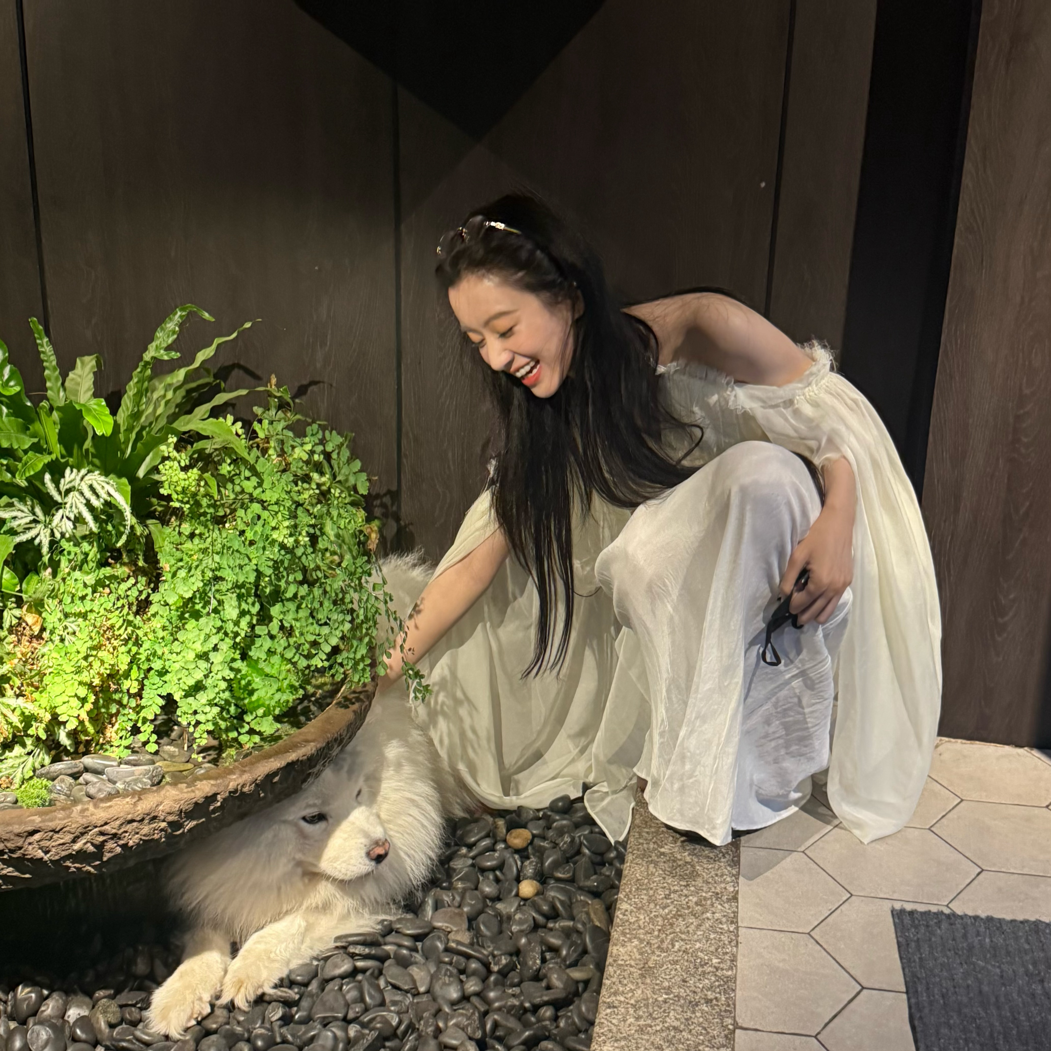 活力翻倍计划偶遇一只大白 ​​​
