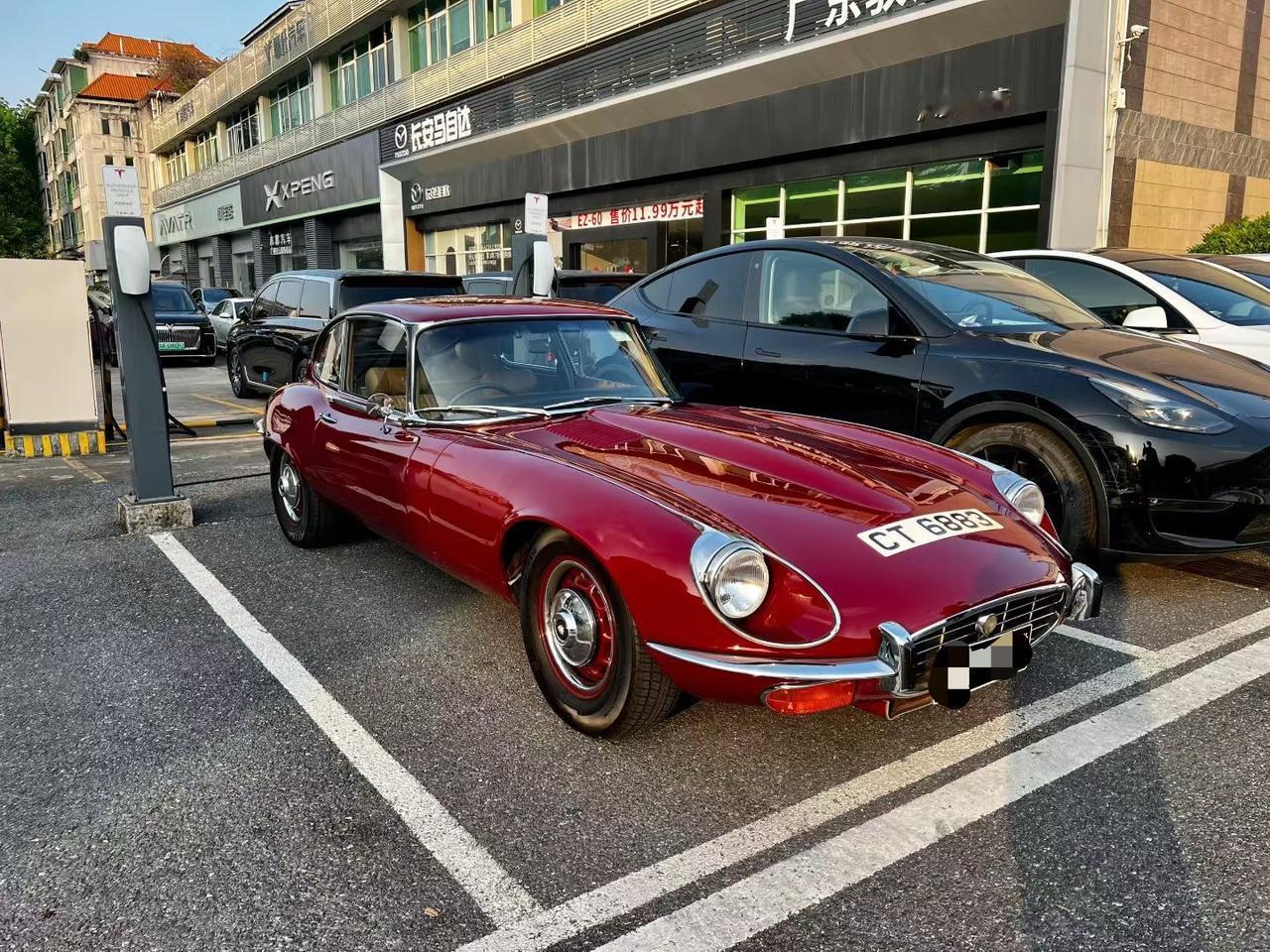 之前偶遇的一台港牌老爷车 捷豹E-type【来自懂车帝车友圈】
