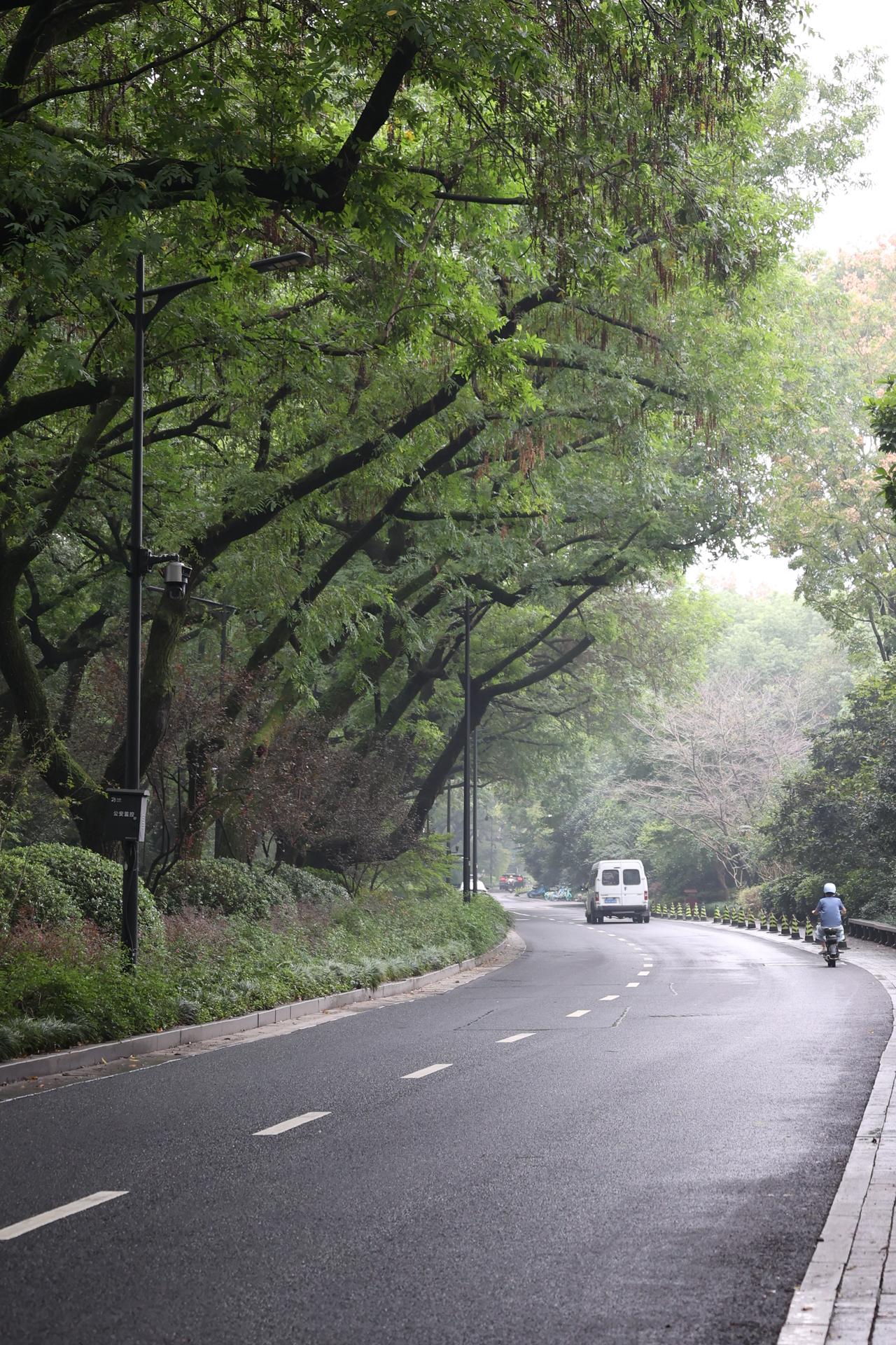 玉皇山路：北起南山路，南至玉皇山麓林海亭，全长一千三百三十三米，为景区要道。
清