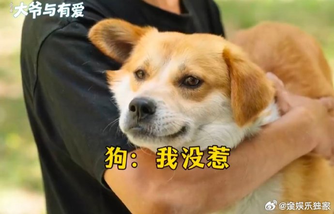 2025互联网嘴替天花板有了大爷与有爱于谦新剧《大爷与有爱》中，每一次吐槽都精准