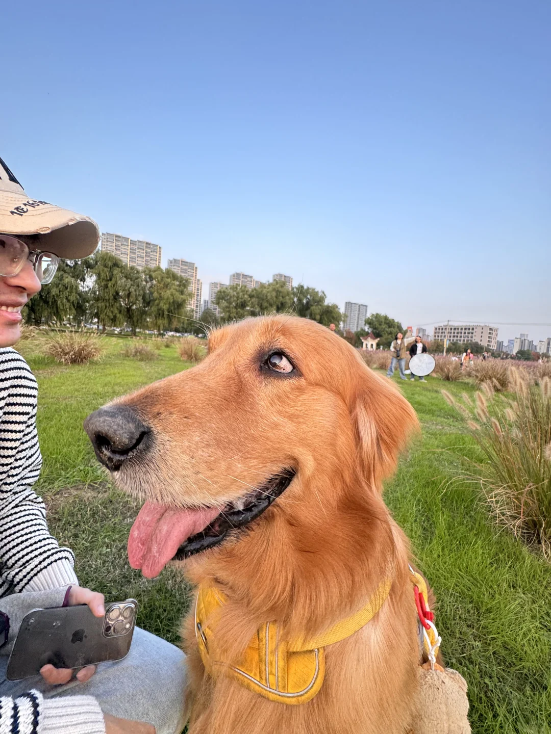 听说大家想看小狗