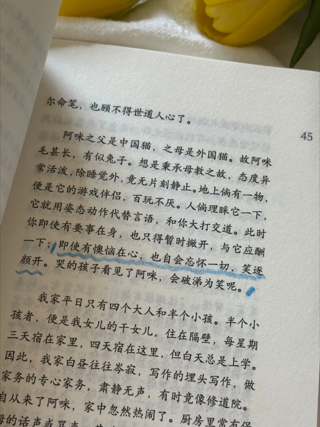 怎么会有这么治愈的书啊疲惫焦虑一定要看 