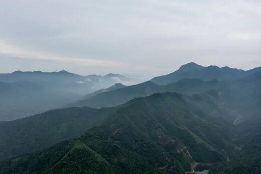 【深山藏金桂，世界闻桂香——探访防城港的“致富宝”】

防城港市地处十万大山南麓