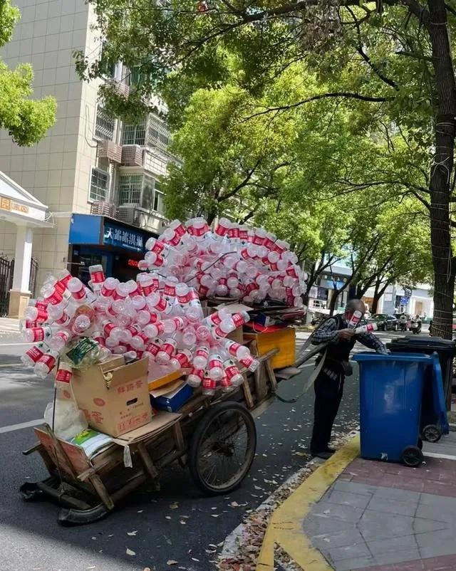 废品堆里捡黄金！你家快递箱身价暴涨，8月别再乱扔了！

八月中旬，小区回收点排起