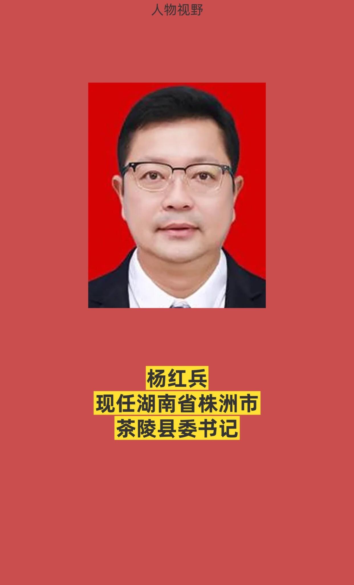 湖南株洲市各区县书记。
