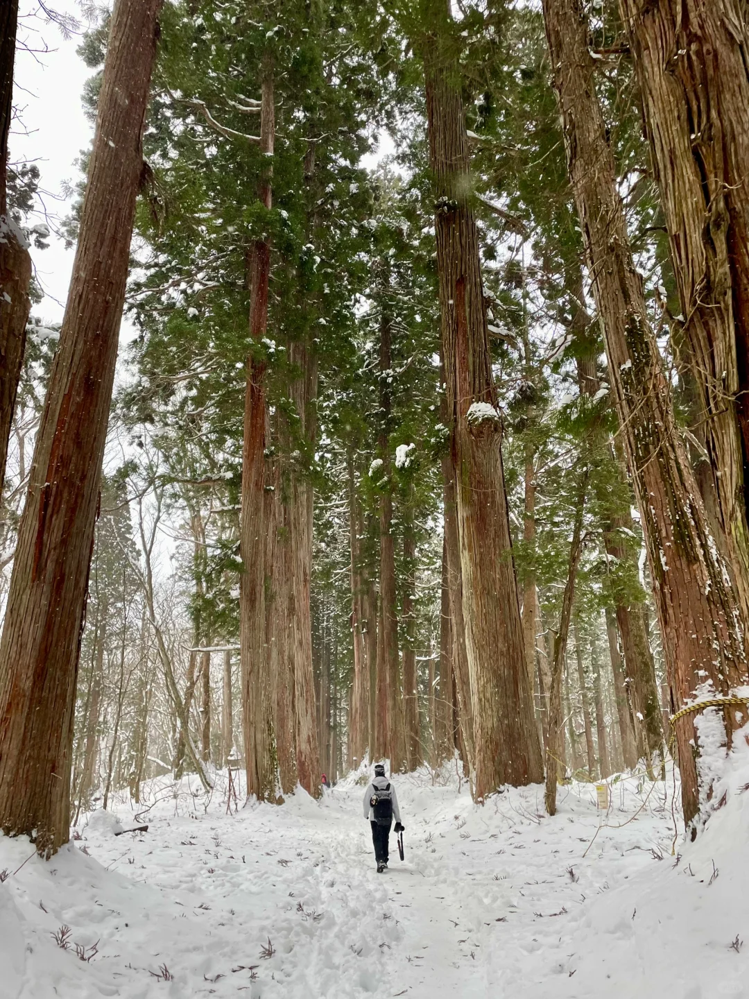 长野 | 18张Live是极限不是我的☺️