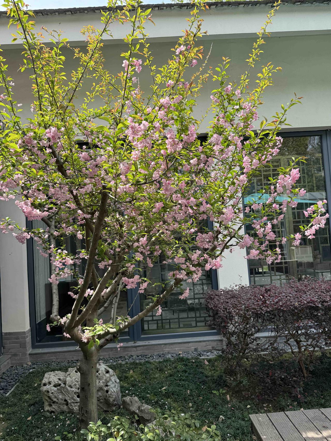 此联以“雨润”对“风过”，以“竹林”对“花径”，雨水滋润竹林，增添盎然绿意，与下