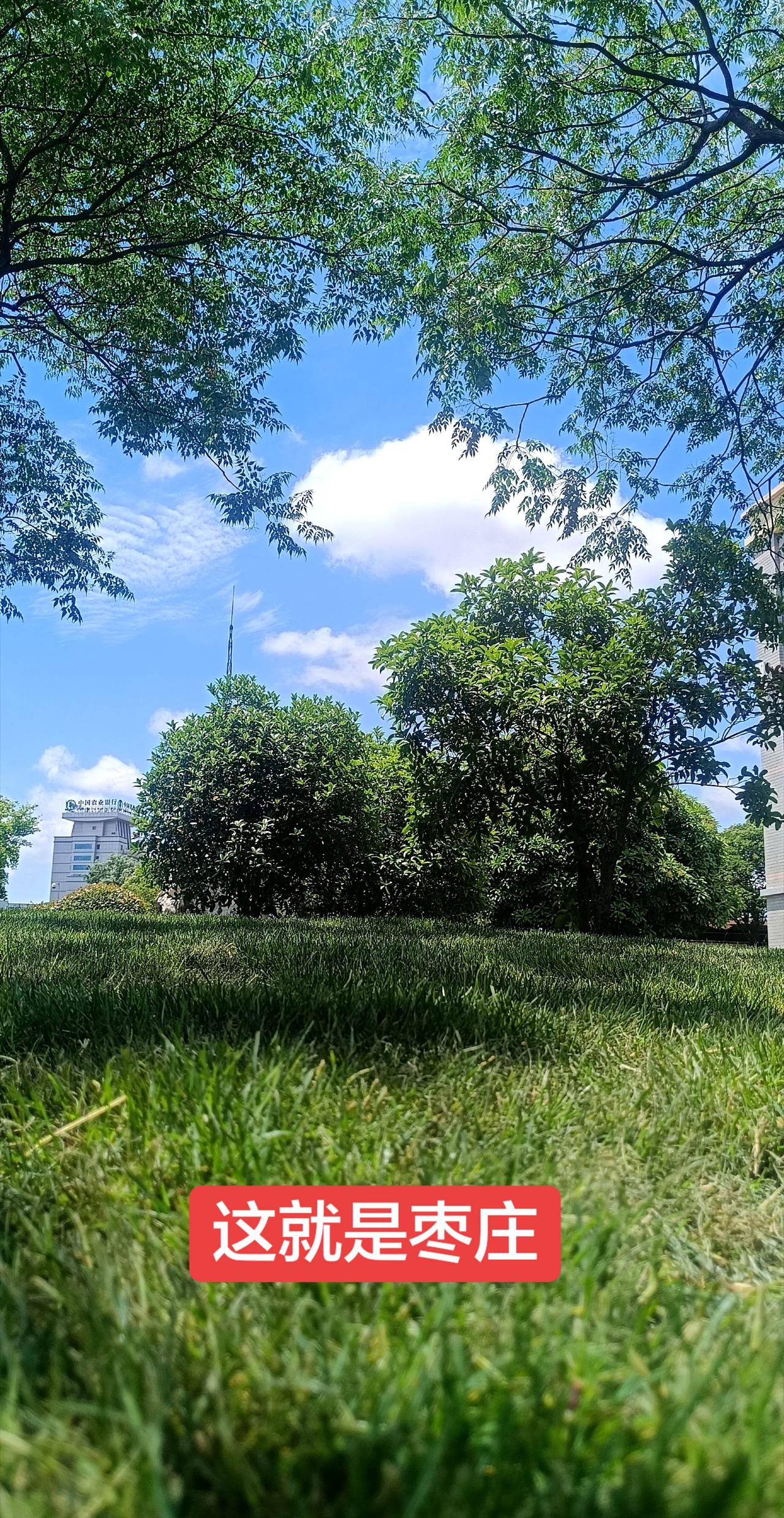 枣庄的夏天美轮美奂