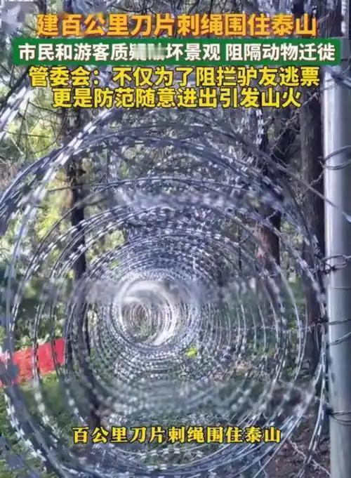 说起泰山，在很多国人心里分量不一样。五岳之首，承载几千年文脉，是刻在骨子里的圣山