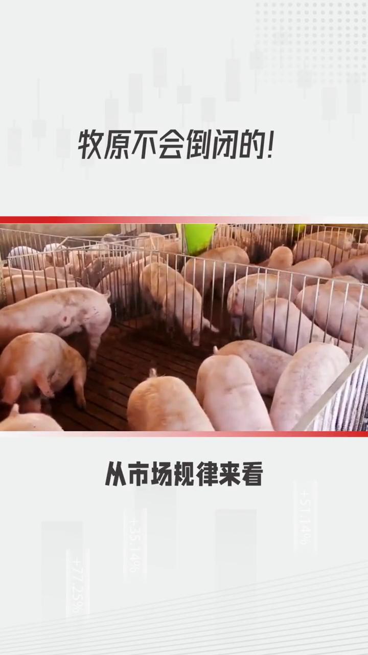 牧原不会倒闭的理性剖析。
大家千万别盼着牧原倒闭，这种想法缺乏现实依据。
·从市