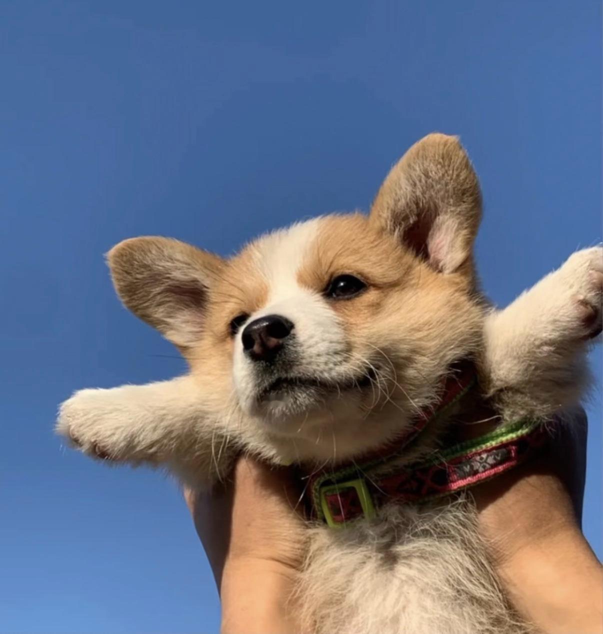 玩加早安 周末啦～大家有什么好的放松方式分享吗？2025lpl2025lck