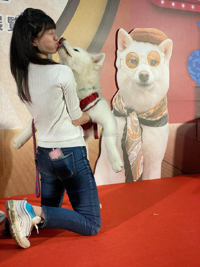 史上最严养犬新规来了  很好，有法可依了，还要“执法必严”上周某个晚上我在小区里