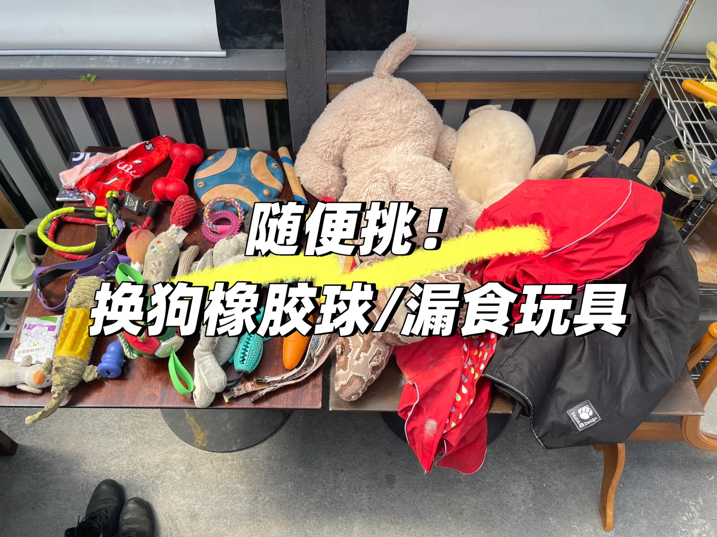 墨尔本🐶狗狗换物 以旧换旧