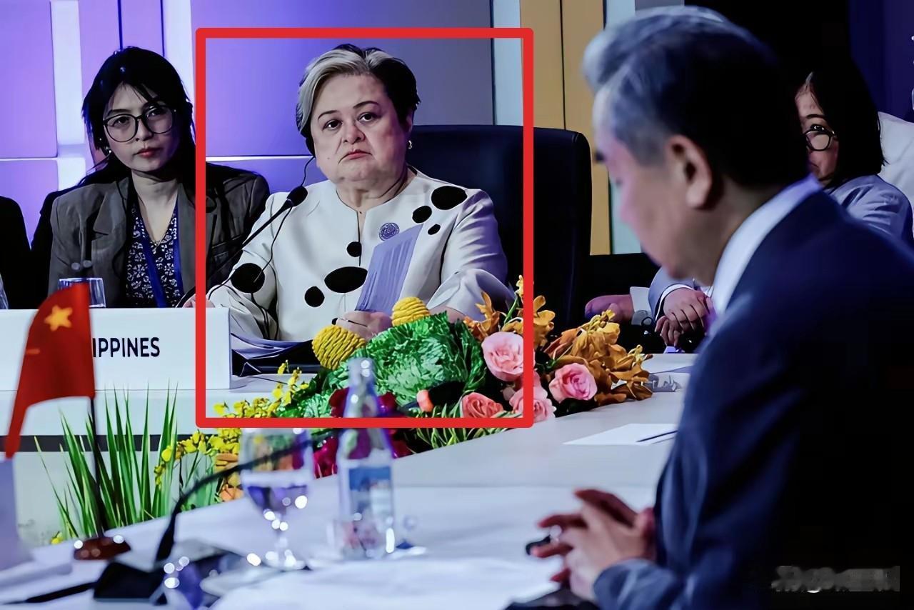 就凭菲律宾外长这表情，强烈建议我们必须要给他们点颜色看看，有时候光顾隐忍只会让对