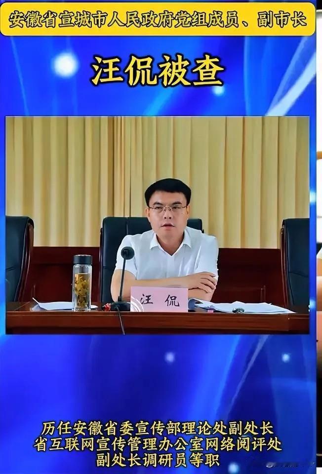 又一条大鱼被逮了，
这“纸”果真包住火，一手好牌打的稀烂。

翻开简历一瞧，宣城