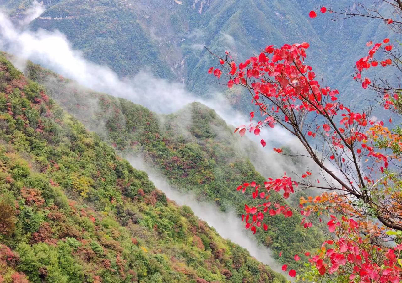 已经停经了，节育环要不要取出来？

大姐生完一个孩子后就上了节育环，至今已经有2