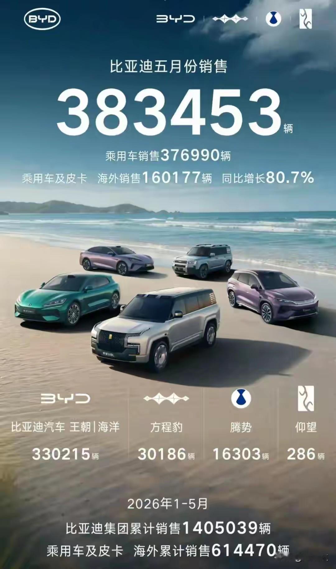 比亚迪五月销量超过38万辆，但毛利想拉到百分之三十仍然有难度，毛利估计提高到25