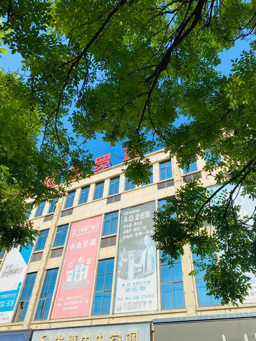 生活手记记录真实生活摄影摄影摄影 夏木擎苍，一城晴光晴日漫洒南城街巷，老槐舒展虬