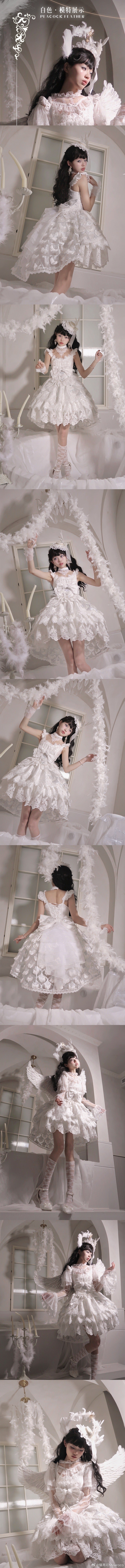 #猫芮可[超话]##雀之羽##LOLITA[超话]# 2.9日晚19：00雀之羽