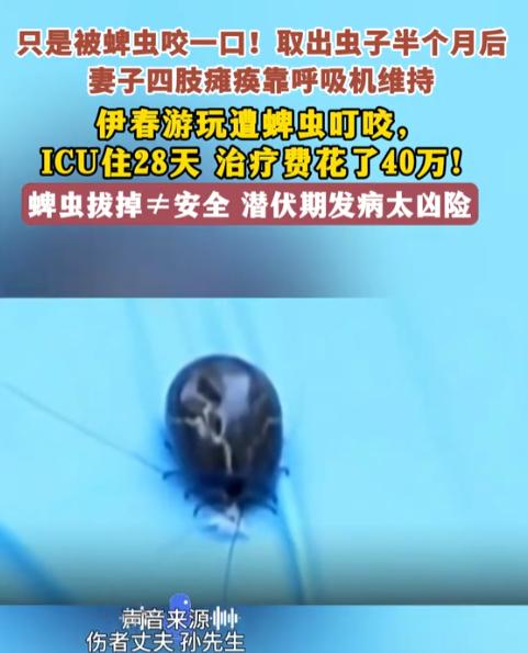 “悲剧还是发生了！”黑龙江，一男子和29岁的妻子带狗去外出游玩，岂料，返程时妻子