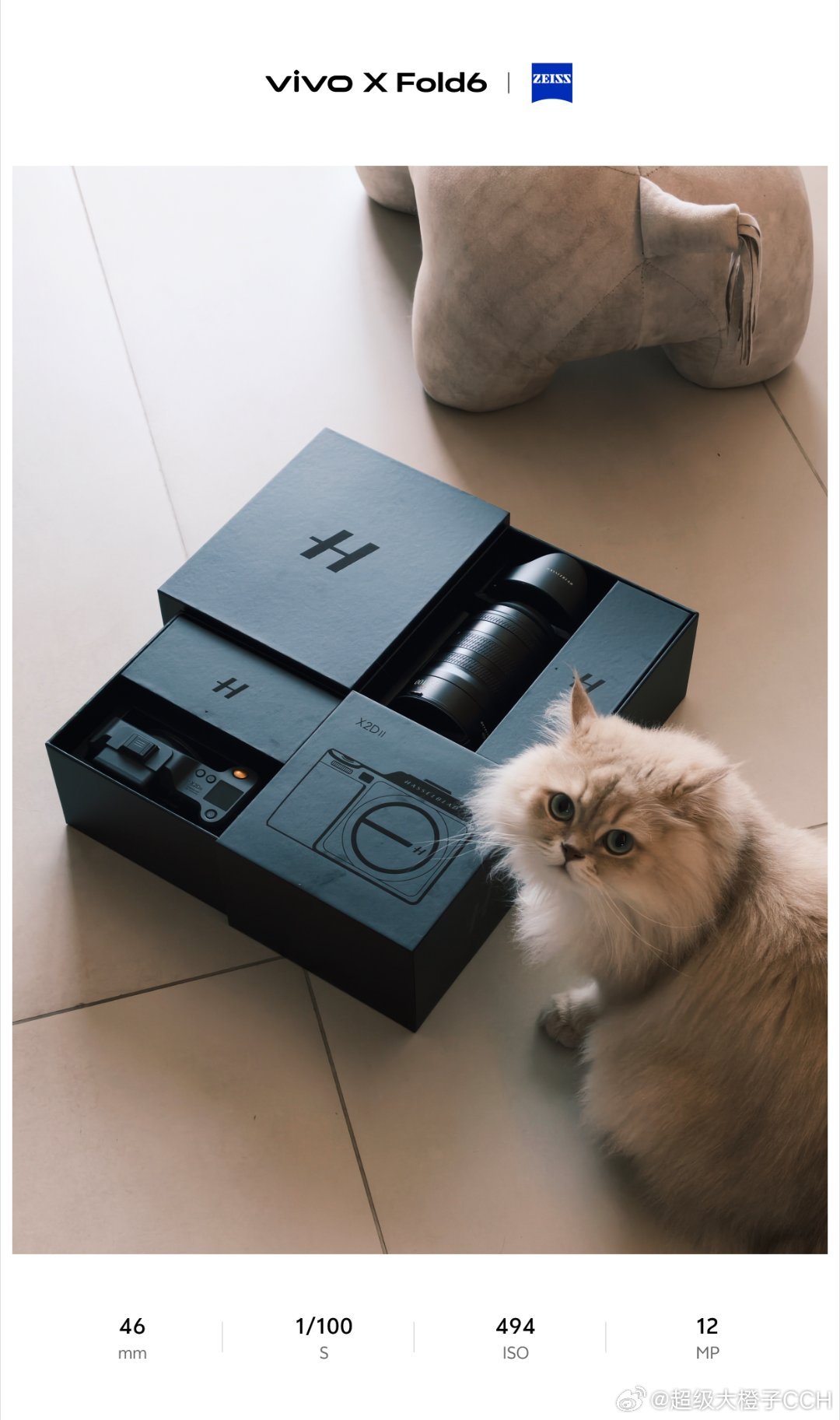 小猫想要小猫得到谁家小猫咪还没有一台哈苏X2D II嘞？小猫咪的配得感必须是拉满