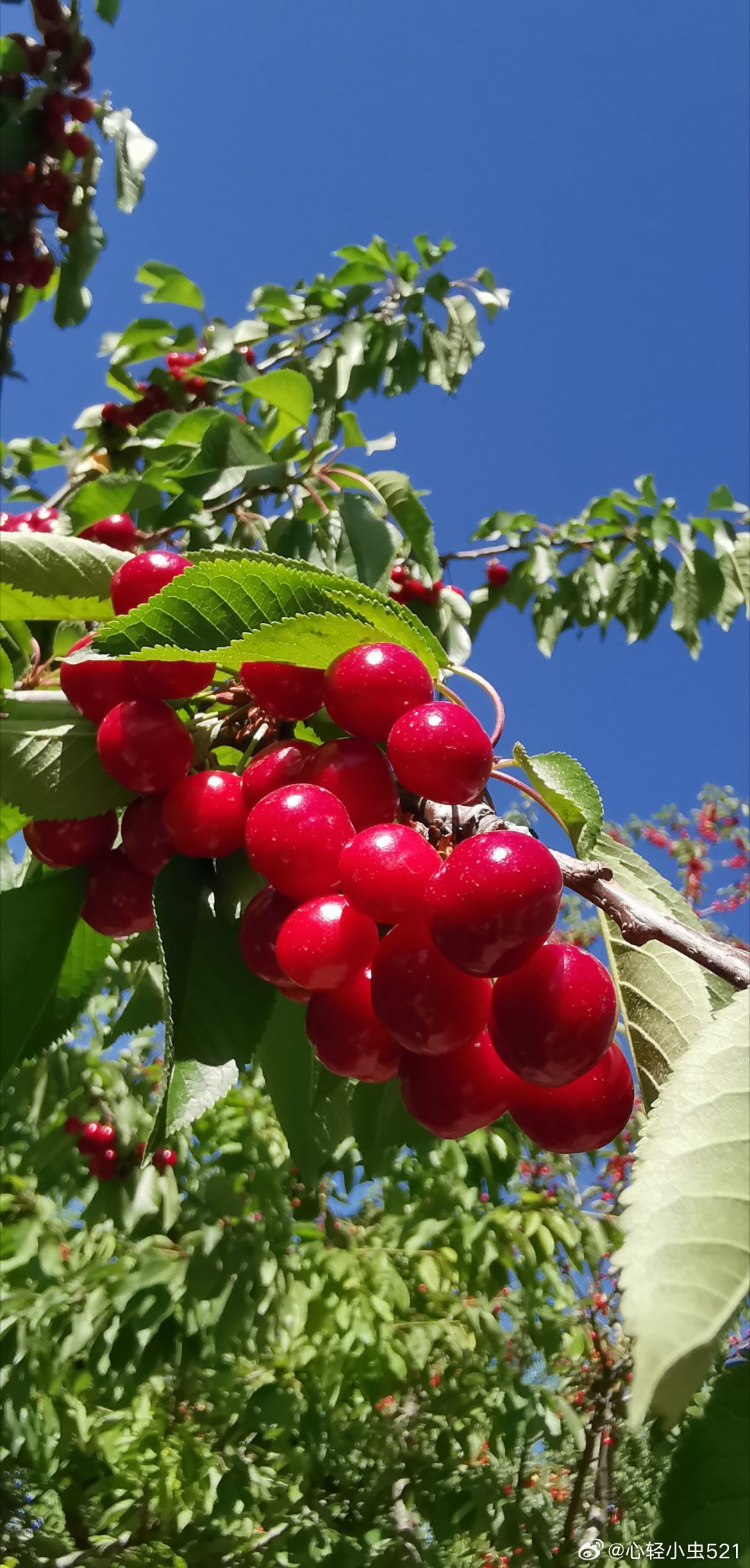 每个人都有自己的门或窗，打开属于自己的门你将踏出海阔天空，打开属于自己的窗你将看