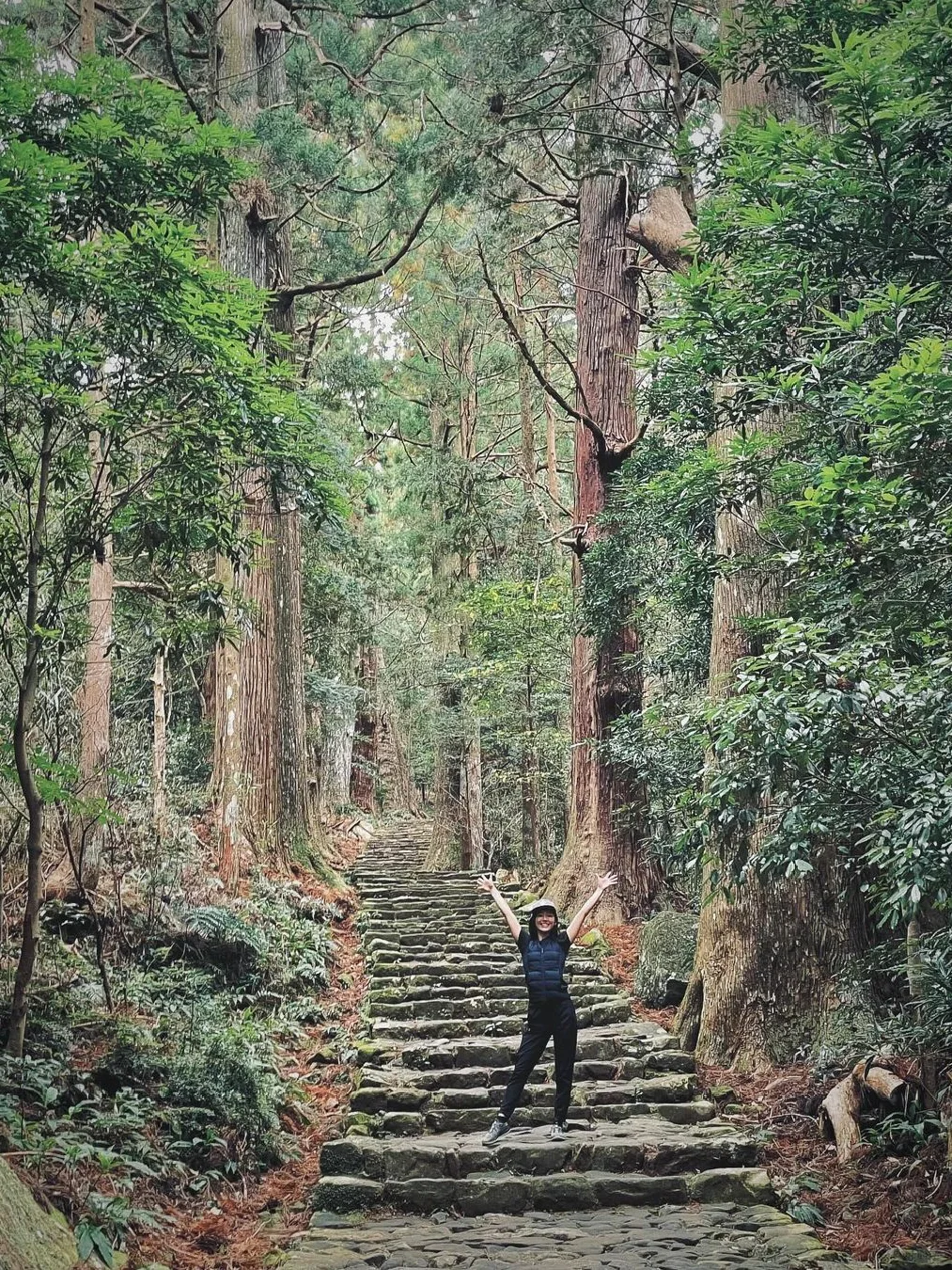 熊野古道中边路｜从入门到进阶的不同走法