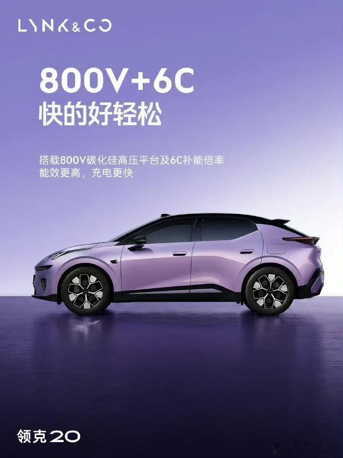 一辆搭载800V碳化硅高压平台及6C超高充电倍率电池；一辆400V，大伙觉得怎么