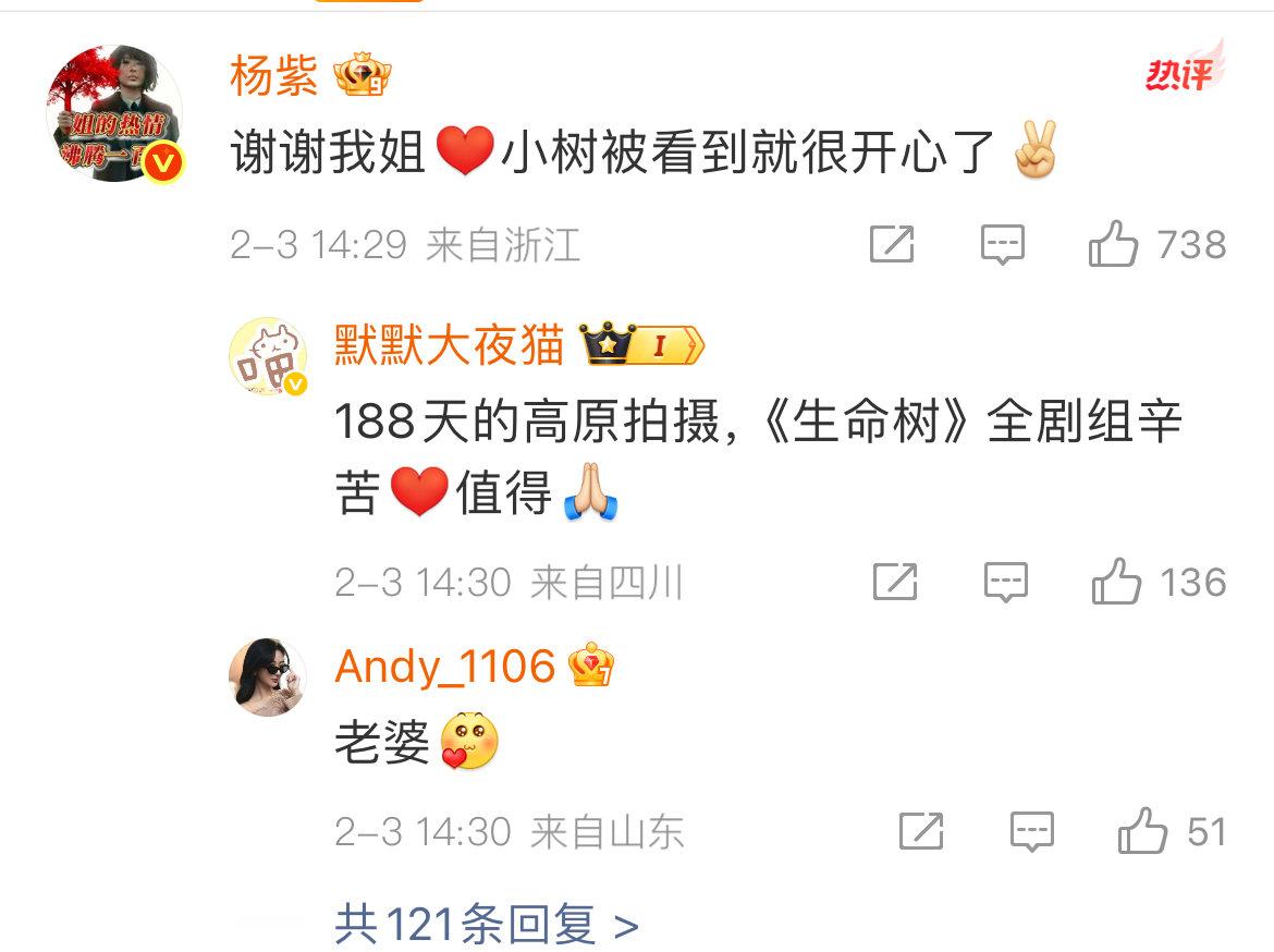 杨紫回复马思纯谢谢 杨紫生命树回复 杨紫回复马思纯谢谢 