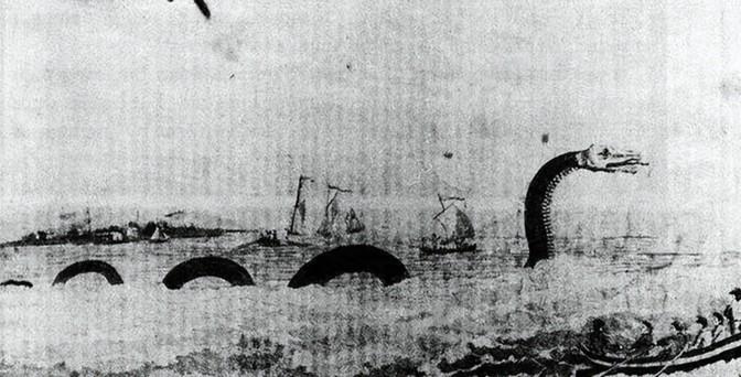 1851年，美国一艘捕鲸船在太平洋斩杀了一条巨大的蛇形巨兽。光它的头都熬了10桶