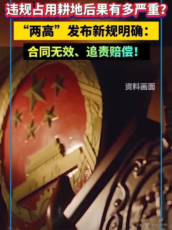 "两高"明确非法占用耕地建房、采矿所签合同无效。这一刀切得漂亮——过去占用耕地的