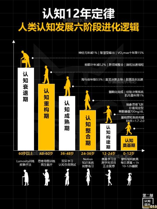 认知12年定律：人类认知发展六阶段进化逻辑